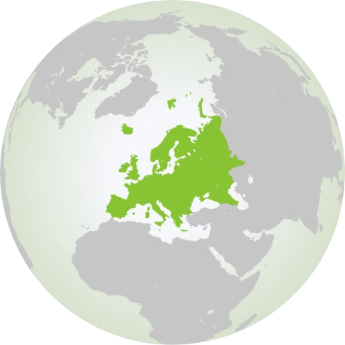 Fuel card visualization